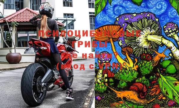 PSILOCYBIN Алексин