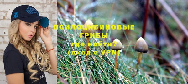PSILOCYBIN Алексин