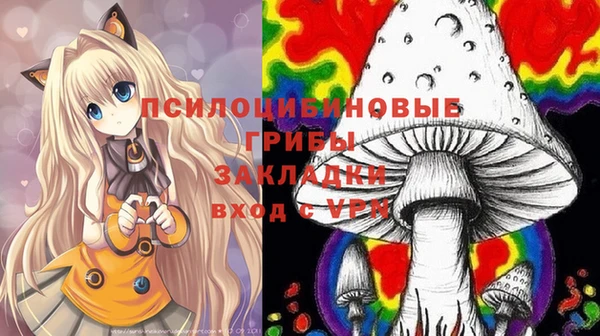PSILOCYBIN Алексин
